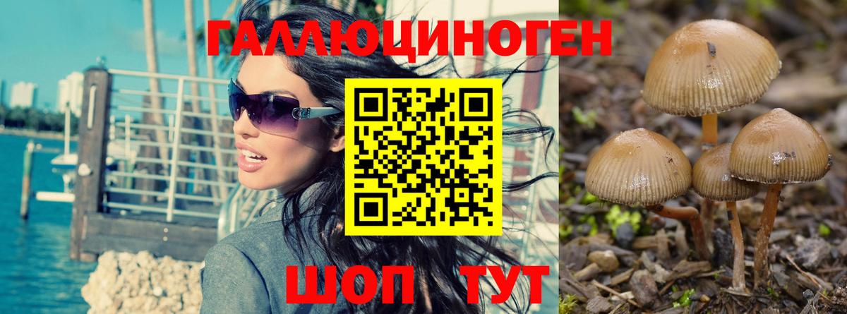 Псилоцибиновые грибы мицелий  Вход с VPN  Орск 